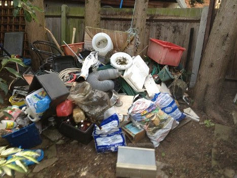 Sorting items during a house clearance in Pimlico